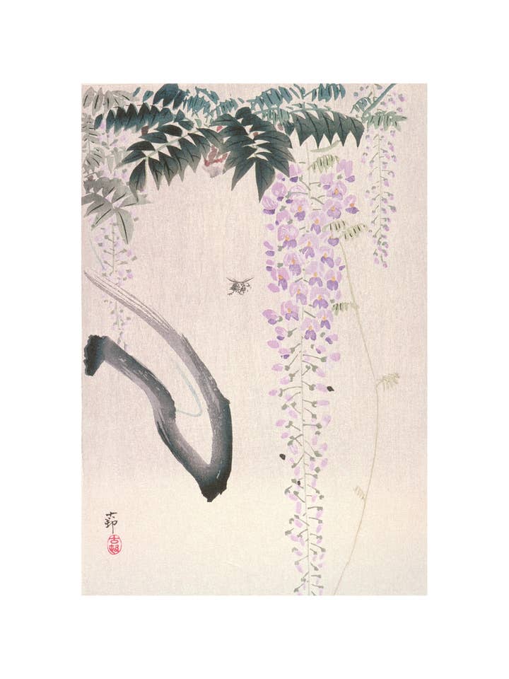 Blåregn og Hveps for engroshandel hos Sweet Tree Cards