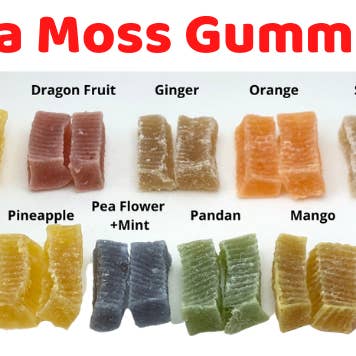 Sea Moss Organics LLC - Wholesale Oral supplement/vitamin - Sea Moss Gummies with Fruits and Herbs~ Family Pack 16 Oz4