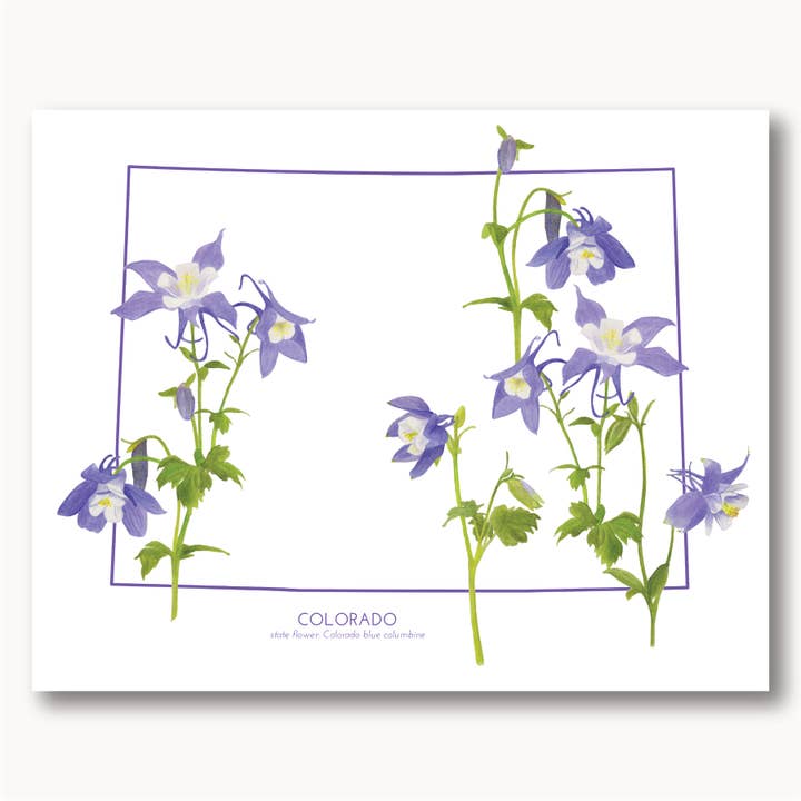 Colorado Columbine State Flower Print for wholesale by Sophie Tivona Paper