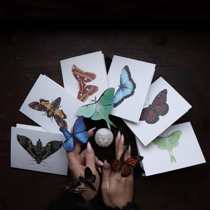 Open Sea - Wholesale Everyday Greeting Card - Blue Morpho Greeting Card3