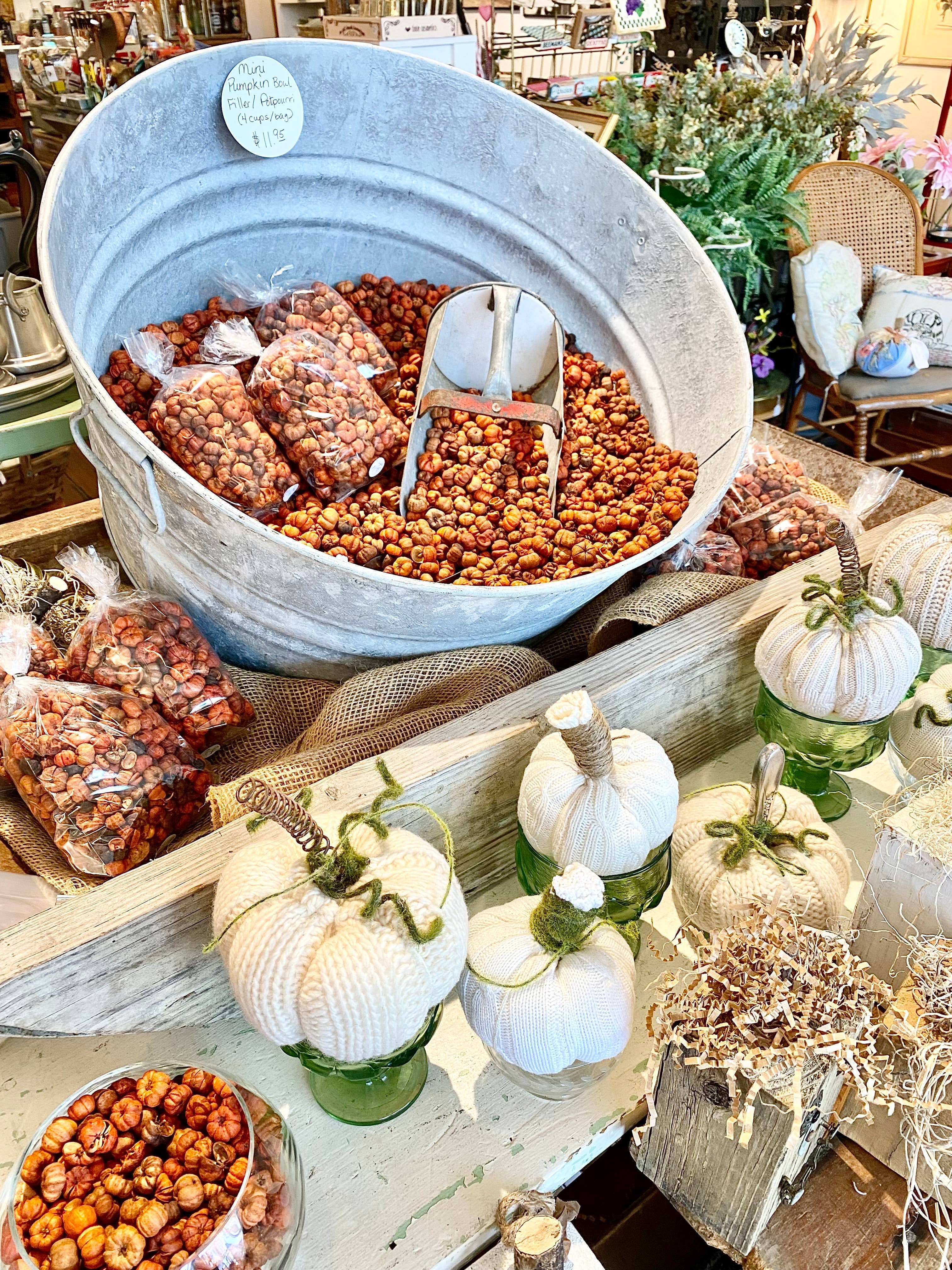 Allure Home Fragrance - Wholesale Potpourri - Mini Pumpkin Potpourri/Putka Pods1