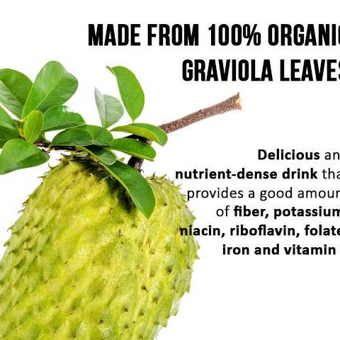 Herbal Goodness - Wholesale Tea Bags - Soursop Leaf Tea - Graviola Extract - Organic Teabags 24/1g - Cell Immunity & Relaxation - Herbal Goodness