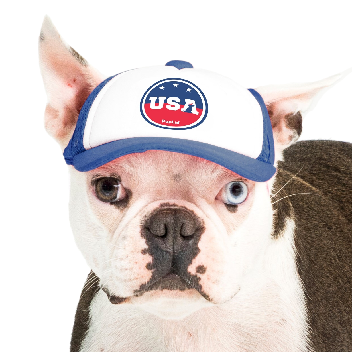 PupLid – wholesale Hatt - Hund – USA Stars Design l Truckerhatt för hundar19