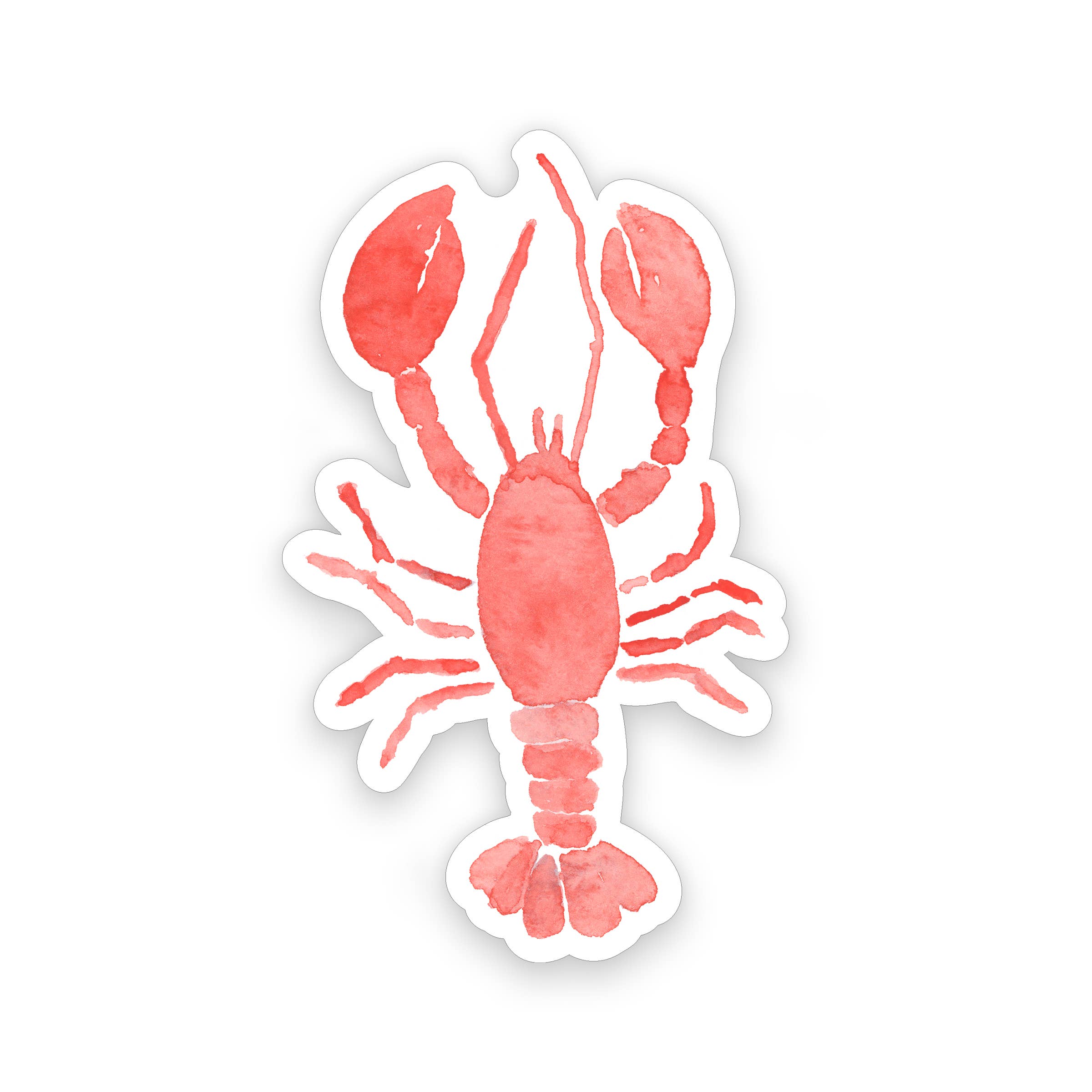 Gert & Co – wholesale Sticker – Watercolor Lobster Sticker | Red Lobster Sticker | 2" x 3"2