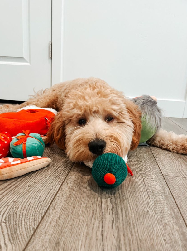 Midlee Designs - Wholesale Pet Plush Toy - Dog - Midlee Find a Toy Christmas Stocking Dog Toy6