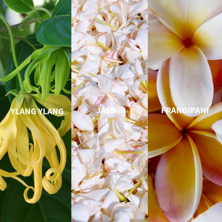 FiiLiT Parfum du voyage - Wholesale Perfume/Eau de Toilette - SURYA BALI Eau de Parfum3