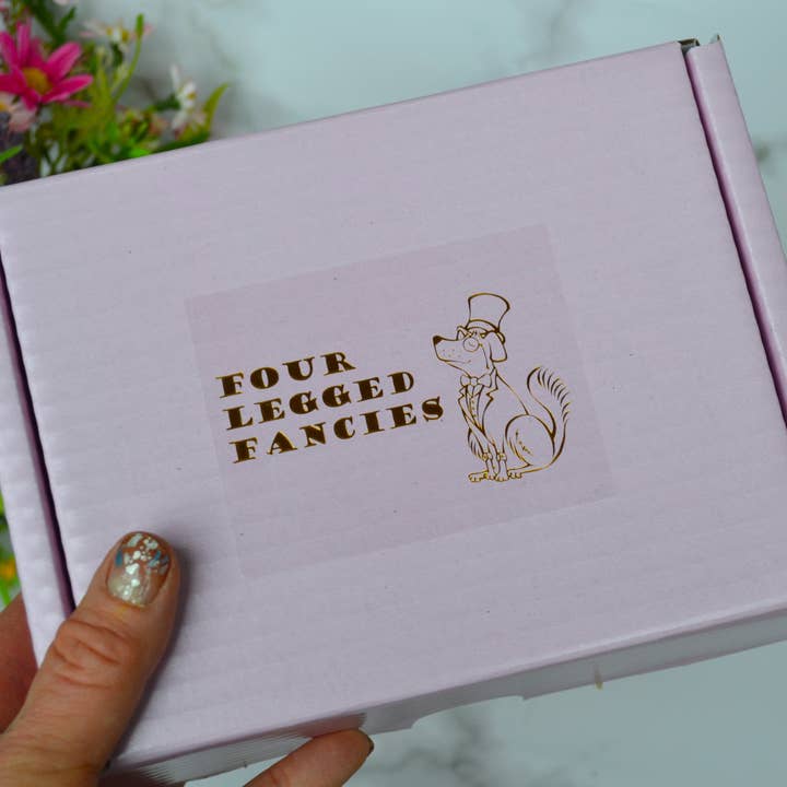 Four Legged Fancies dog bakery - Vendita all'ingrosso Biscotto - Cani - Biscotti ghiacciati di San Valentino per cani