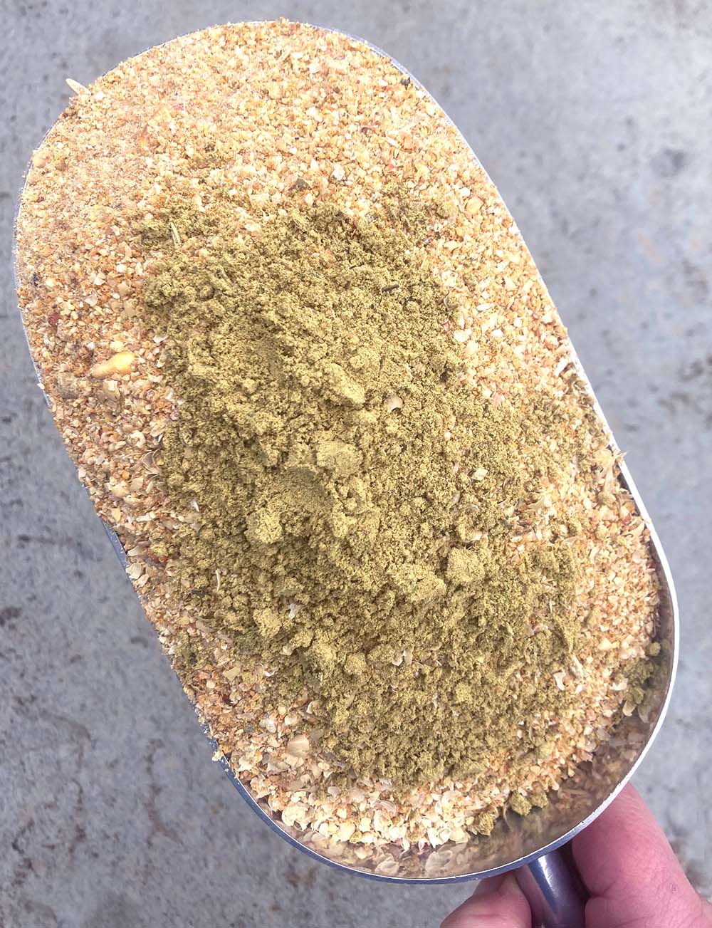 Dahlia Pets - Vendita all'ingrosso Cibo per animali - Non cani o gatti - Pumpkin Seed Delight - Aggiungi al mangime per pollaio sano4