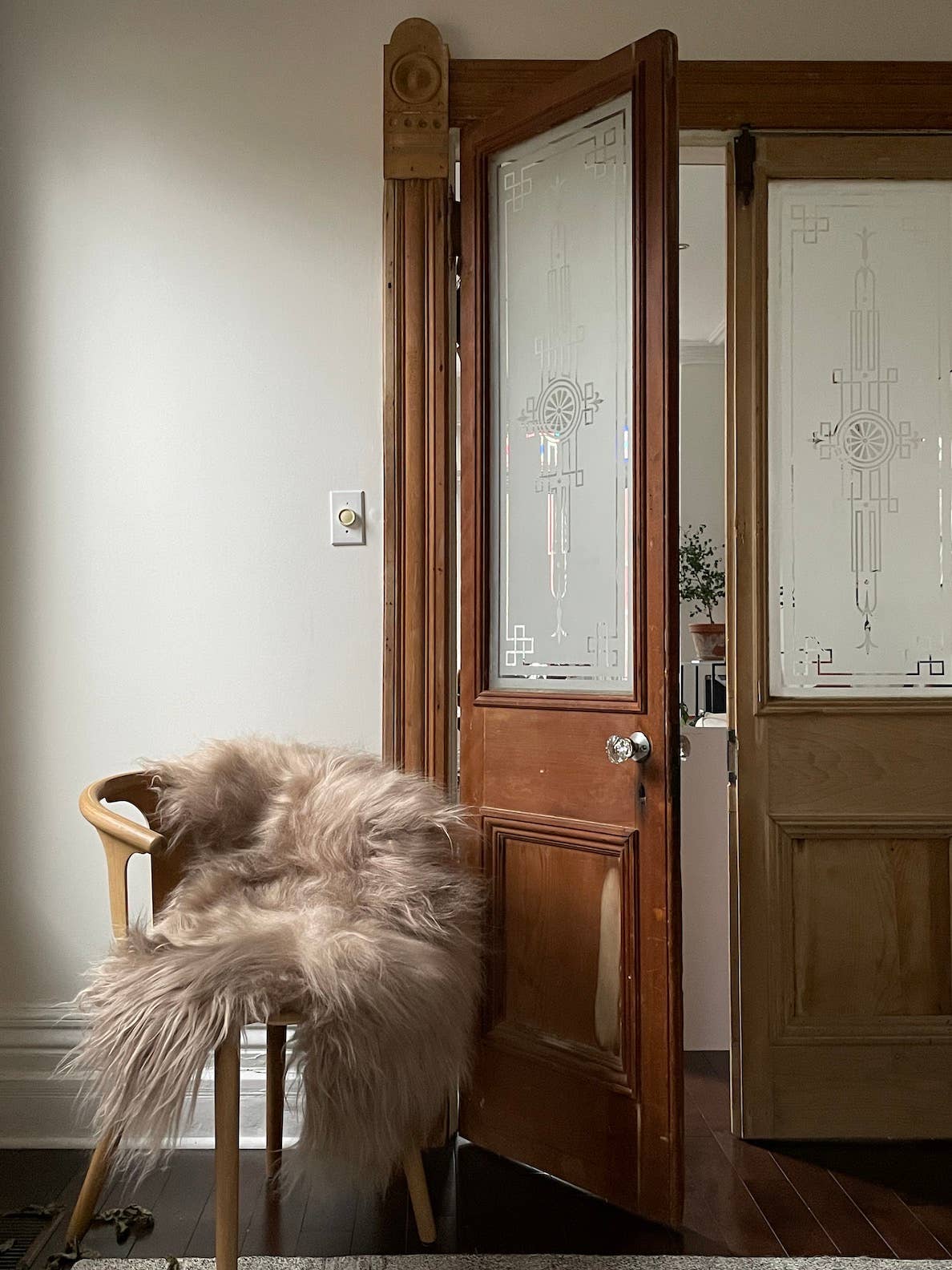 Black Sheep (White Light) - Wholesale Area Rug - Camel Icelandic Sheepskin Throw Rug5