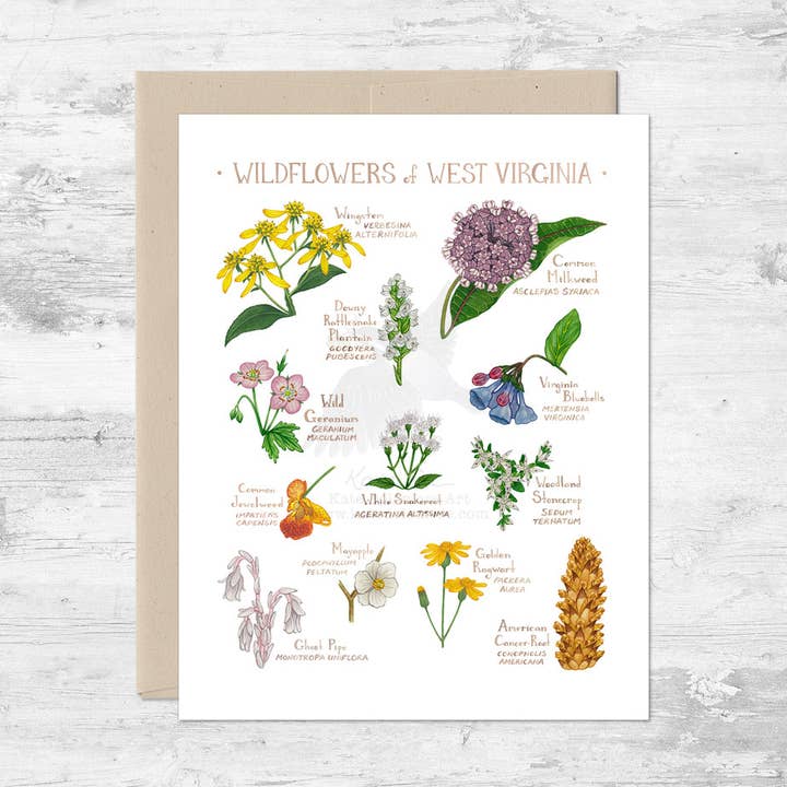 Wildflowers of West Virginia Note Card for wholesale by Kate Dolamore Art