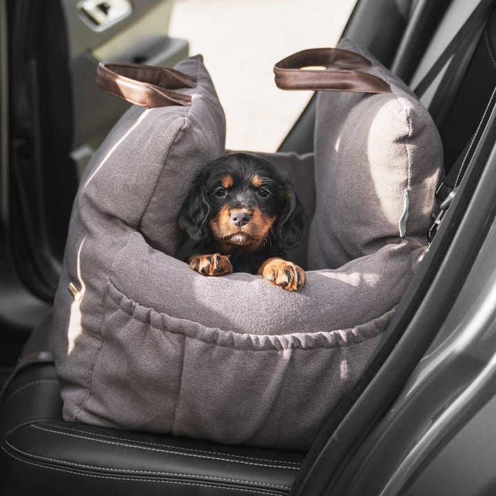 Easy Traveller in Truffle for wholesale by Lords and Labradors