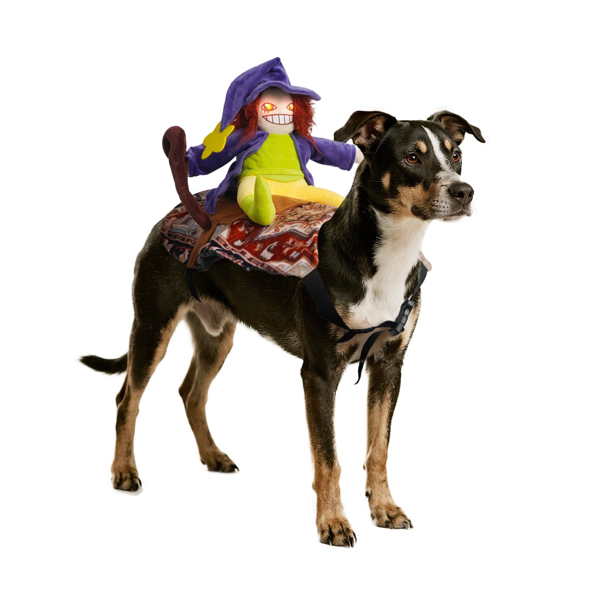 Nocciola - Wholesale Pet Costume - Dog - Witch Riding Dog Halloween Costume6