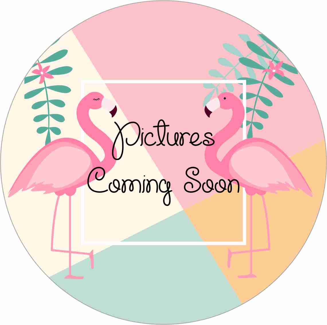 PINK FLAMINGO CANDLE – wholesale Jar/filled candle – Sea Salt & Orchid | Signature Candle2