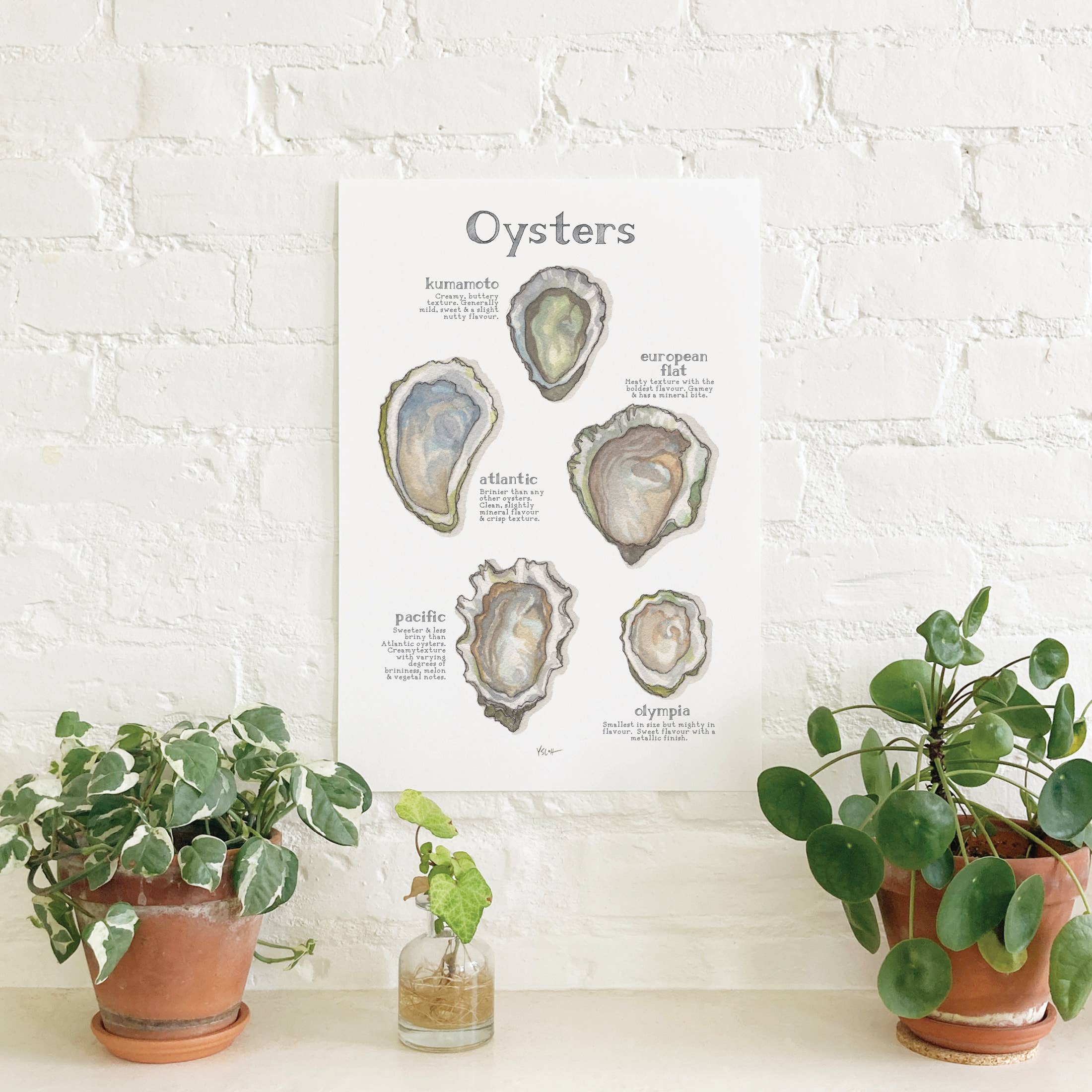 Yeesan Loh - Wholesale Poster - Poster / Oysters1