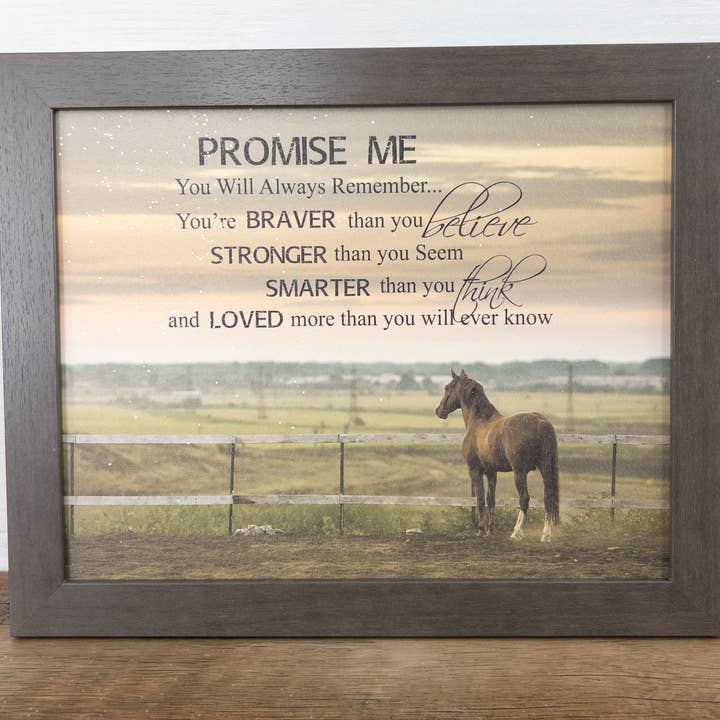 Promise Me You'll Always Remember Horse Western Art Sign for wholesale by Summer Snow Art
