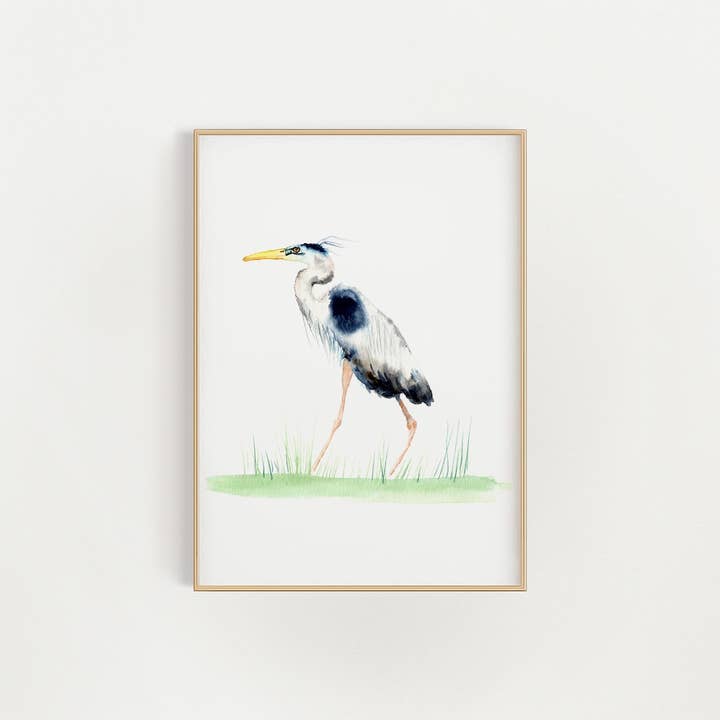 Great Blue Häger Tryck för wholesale av Finding Silver Pennies