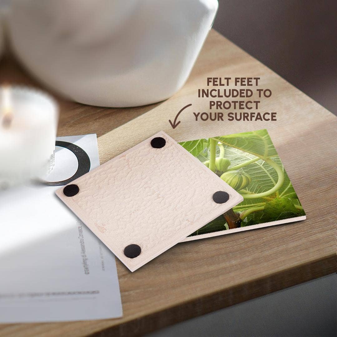 3dRose - Wholesale Coasters - 3dRose, A close up photograph of fig fruit on a common fig tree, Coaster3