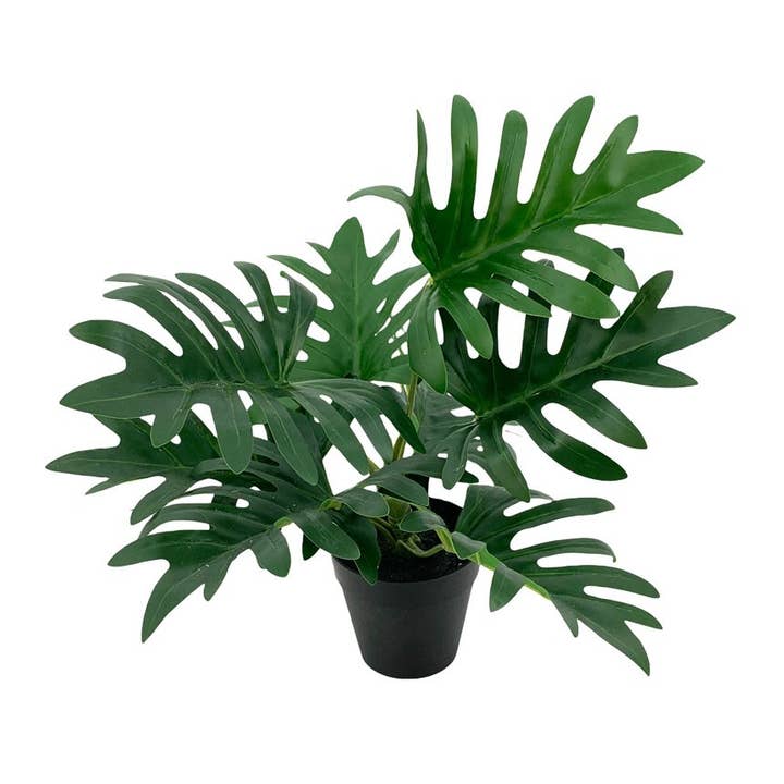 Aguilar Málaga - Wholesale Plant Pot - Philo Sellax8 Planter 30X35cm0