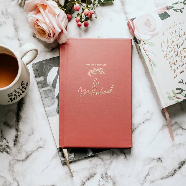 The Daily Grace Co - Wholesale Journal/Diary - Praying Scripture for Motherhood Journal