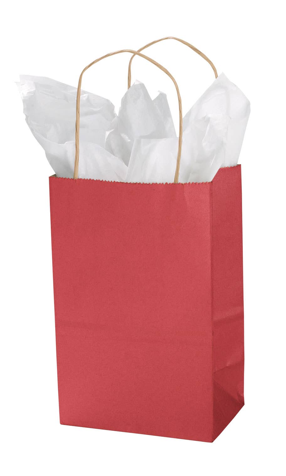 Store Supply Warehouse - Wholesale Gift Bag - Colorful Kraft Paper Shopping Bags31