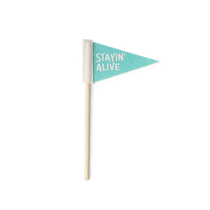 DM Merchandising - Wholesale Garden/Lawn Stake - Seed & Sprout Rooting For You Plant Pennants8