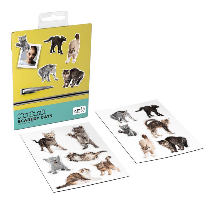 Mustard – wholesale Magnet – Scaredy Cat Magnets1