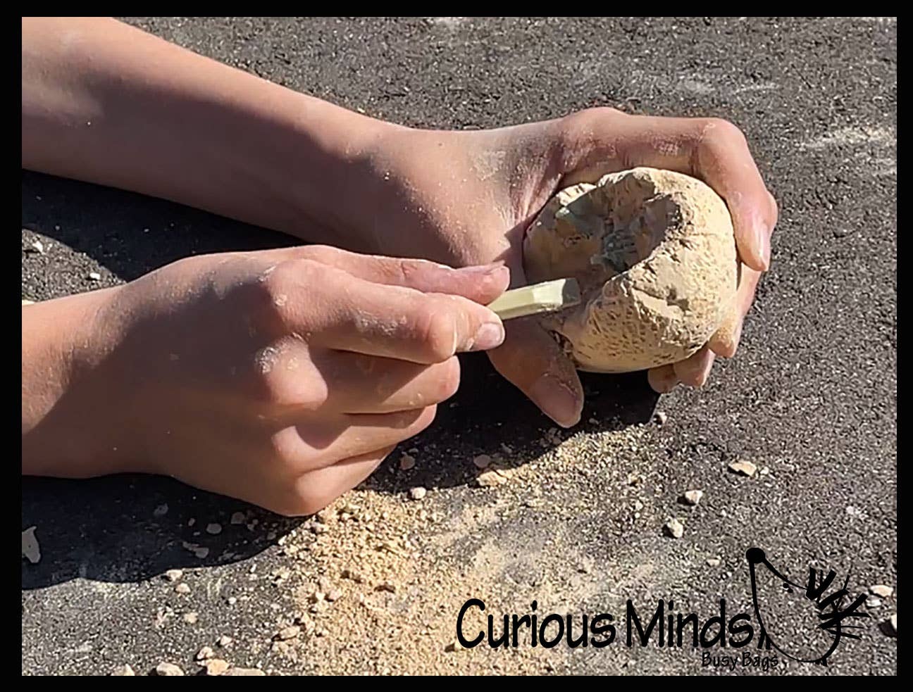 Curious Minds Toys – wholesale Figurleksak - Barn – 1 Dinosaur Fossil Excavation Gräv ägg - Upptäck Dino Fossil 11