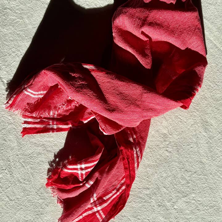 Parekh Bugbee - Wholesale Tea Towel - Handloom Kitchen/All purpose Large Towel 2