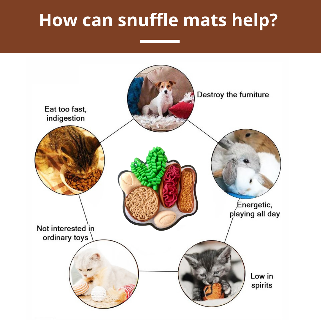 PawzNDogz – wholesale Pet mat – Dog – Chonky Peanuts™ Snuffle Mat | Challenge Level 23