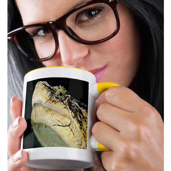 3dRose - Wholesale Coffee Mug - 3dRose, Snapping Turtle, Mug1