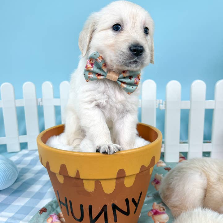 Pawsome Paws - Wholesale Pet Bow Tie - Dog - Disney© Bow Tie - Winnie The Pooh