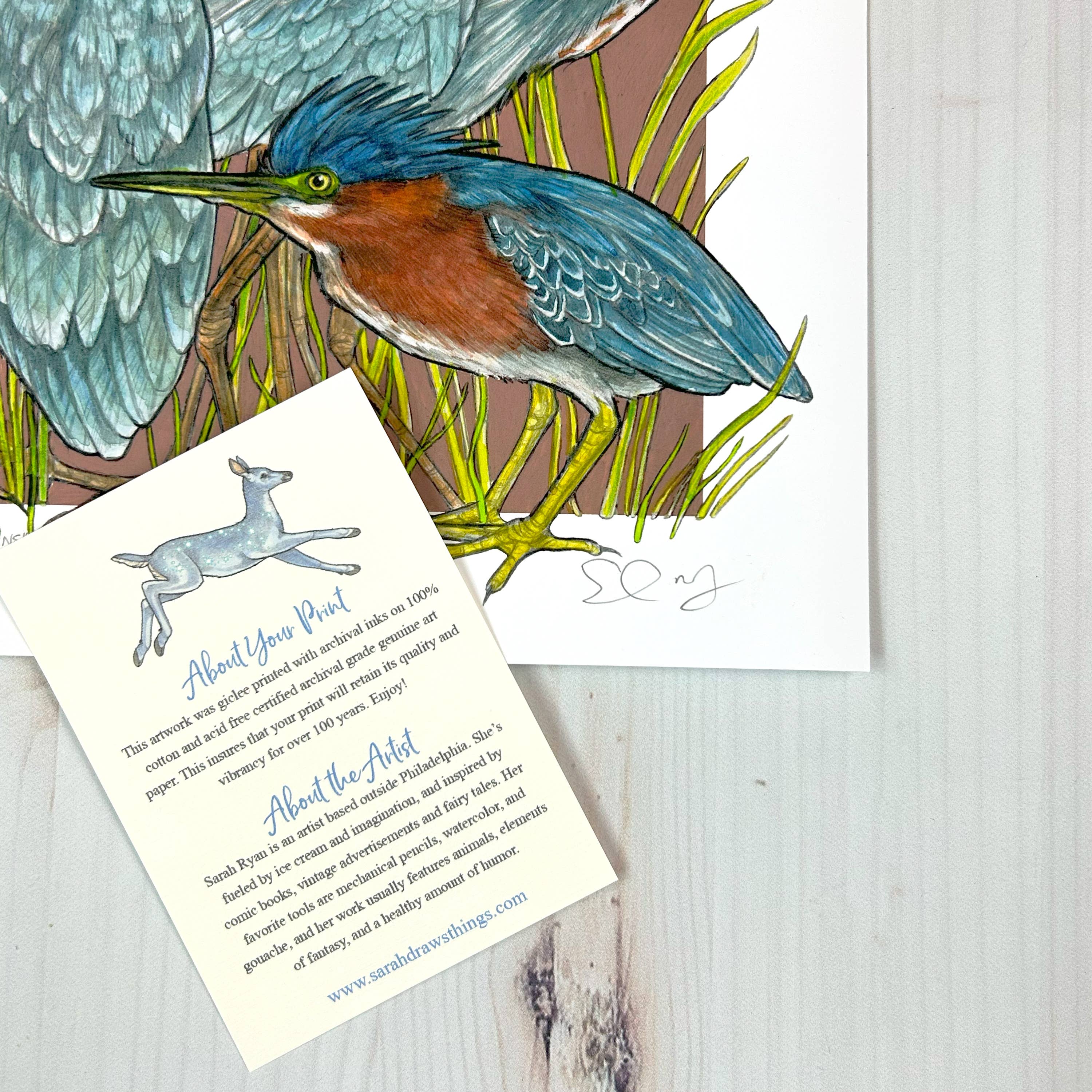 Sarah Draws Things - Wholesale Art Print - A Siege of Herons - Archival Print 5