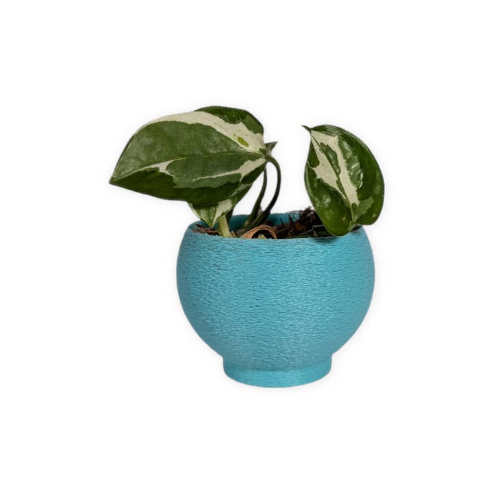 Leafprints.3d - Wholesale Plant Pot - The Petal – 2 Inch Cover Pot (No Drainage)1