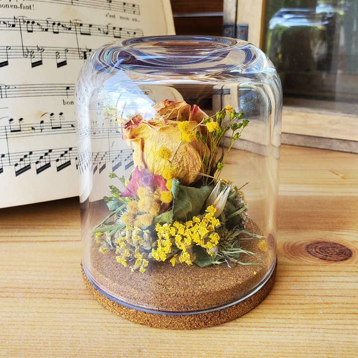A'Rt VEGETAL CREATION - Wholesale Dried/Pressed Flowers - Dried flowers under a bell3
