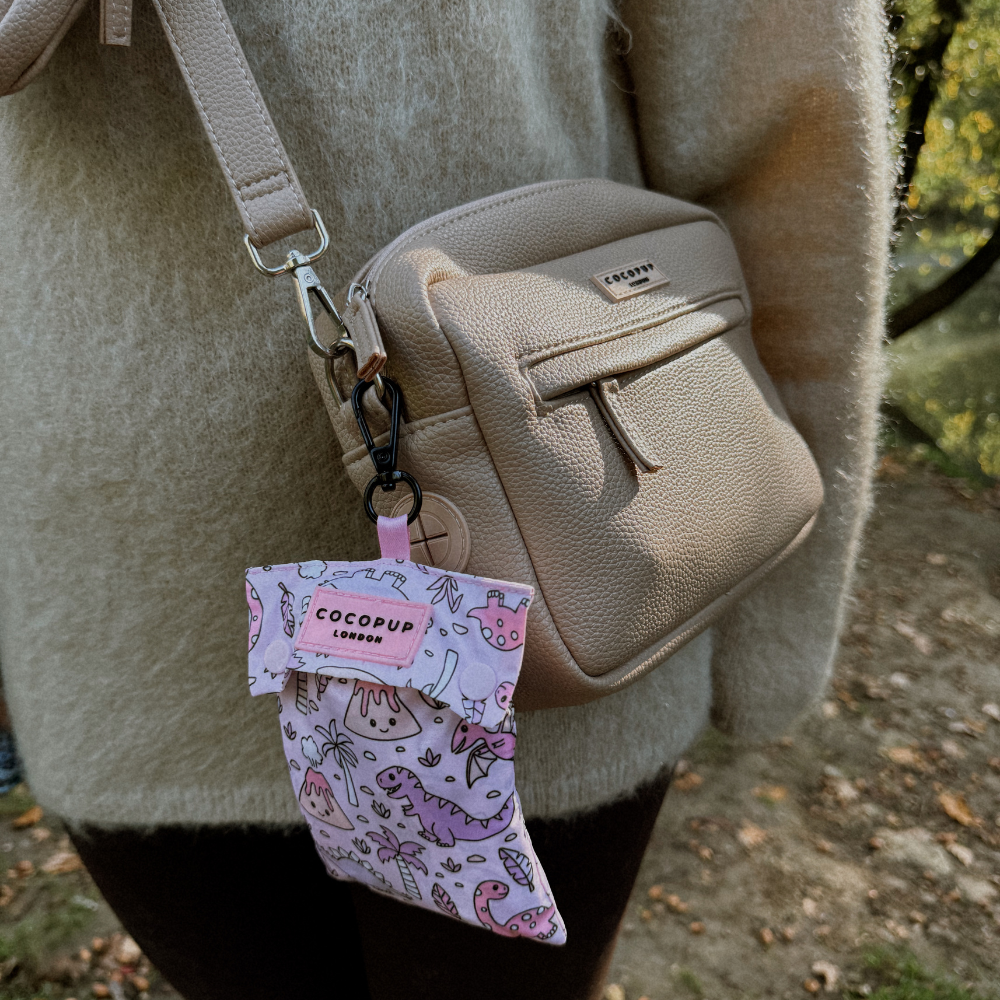 Cocopup London – wholesale Pet raincoat – Dog – Dog Raincoat - Princess Dino11