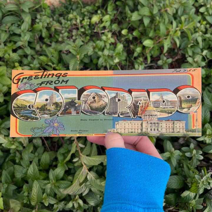 Adesivo per paraurti - Saluti dal Colorado Cartolina vintage per la vendita all'ingrosso da parte di The Funnel Cake Tree