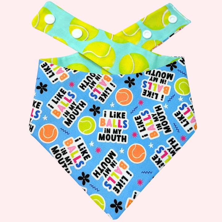 So Fetch Pet Bandana for wholesale by LAWS & OAKS LLC