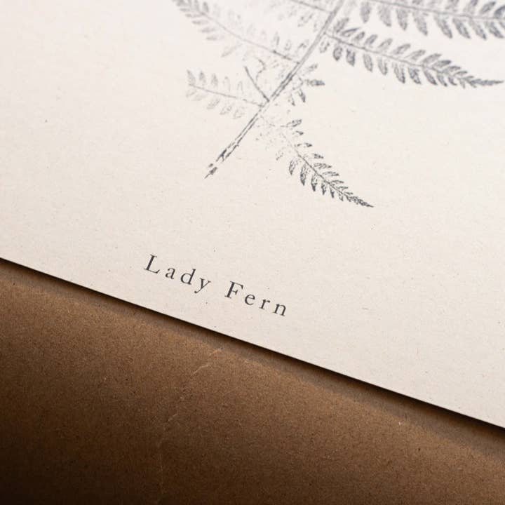 Alicia Breakspear - Wholesale Art Print - Fern Print - Botanical Art Print A5 A4 A3 Lady Fern 9
