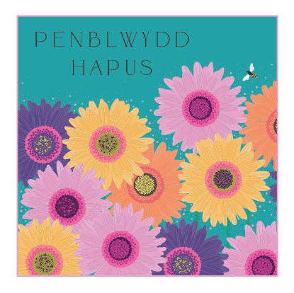 Belly Button Designs – wholesale Birthday card – PenblwyddHapus0