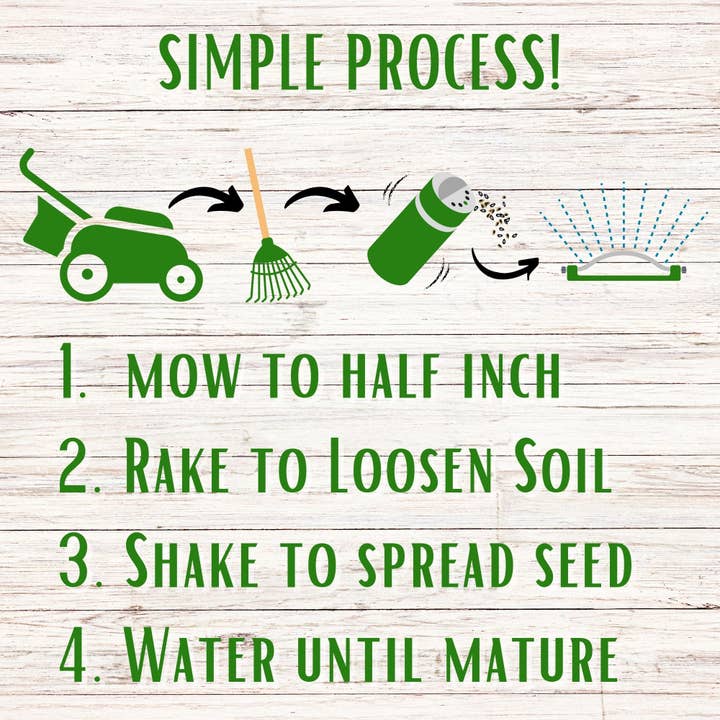 Flawn Seed Kits - Wholesale Plant Seeds - Dutch White Clover Seed Kit Easy Spread Shaker8