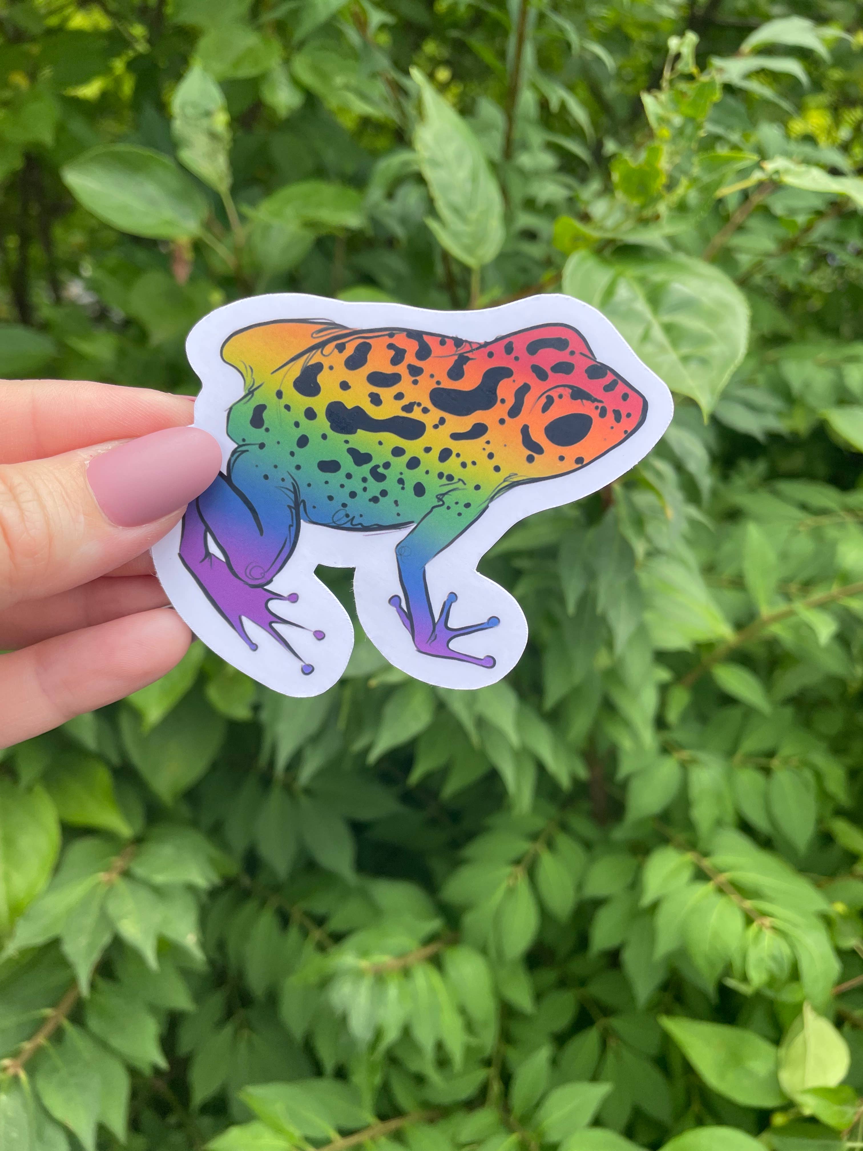 A Dresser Drawer - Wholesale Sticker - Poison Dart Frog Sticker4