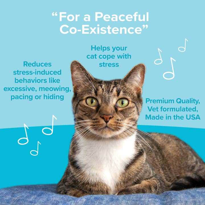 Okoa Pet - Wholesale Pet Treats - Cat - "Chill, Kitty Kitty" Calming Soft Chews for Cats