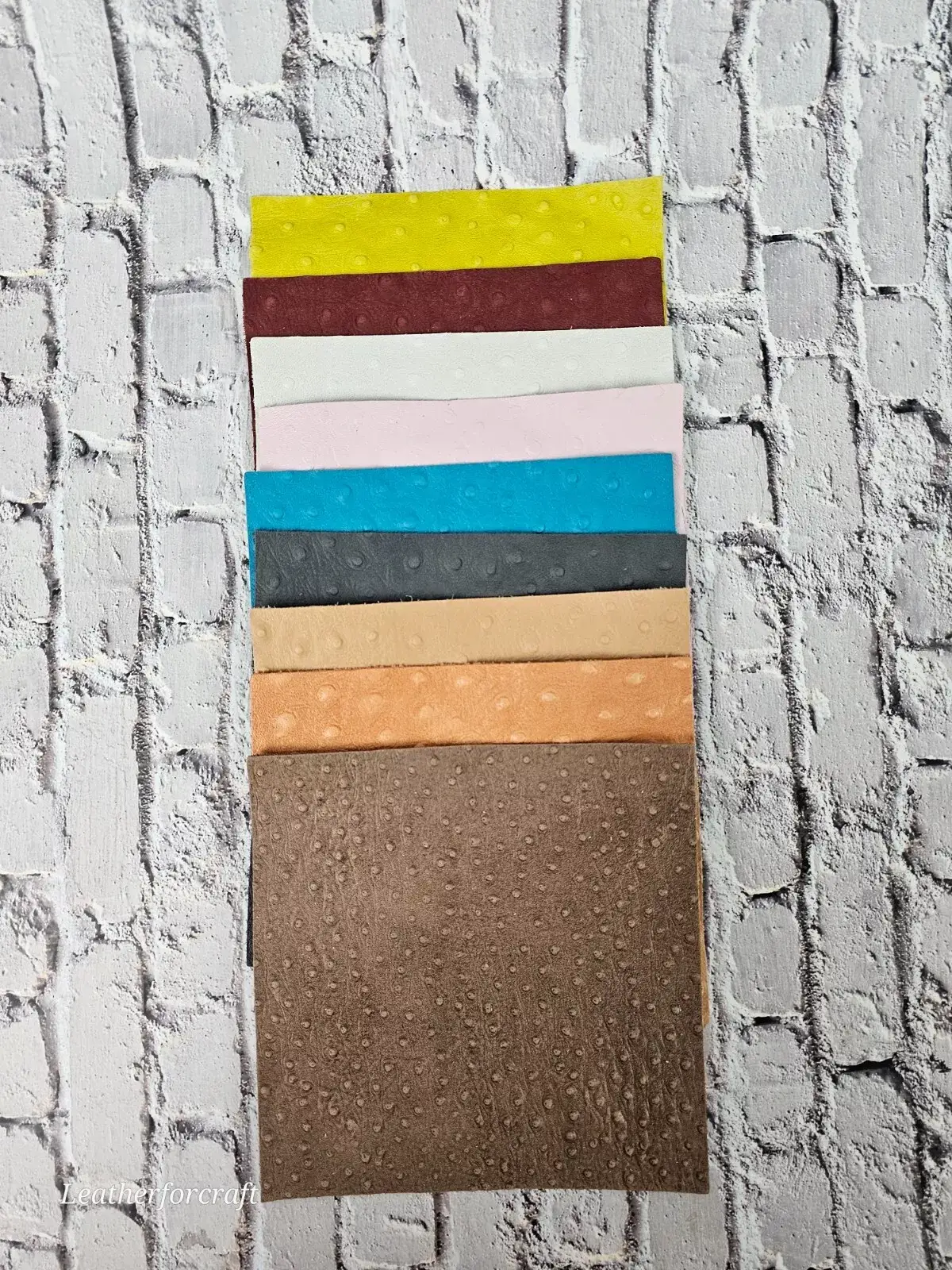 Leatherforcraft - Wholesale Craft Supplies - Ostrich Embossed Leather Scraps Pack Small Size4