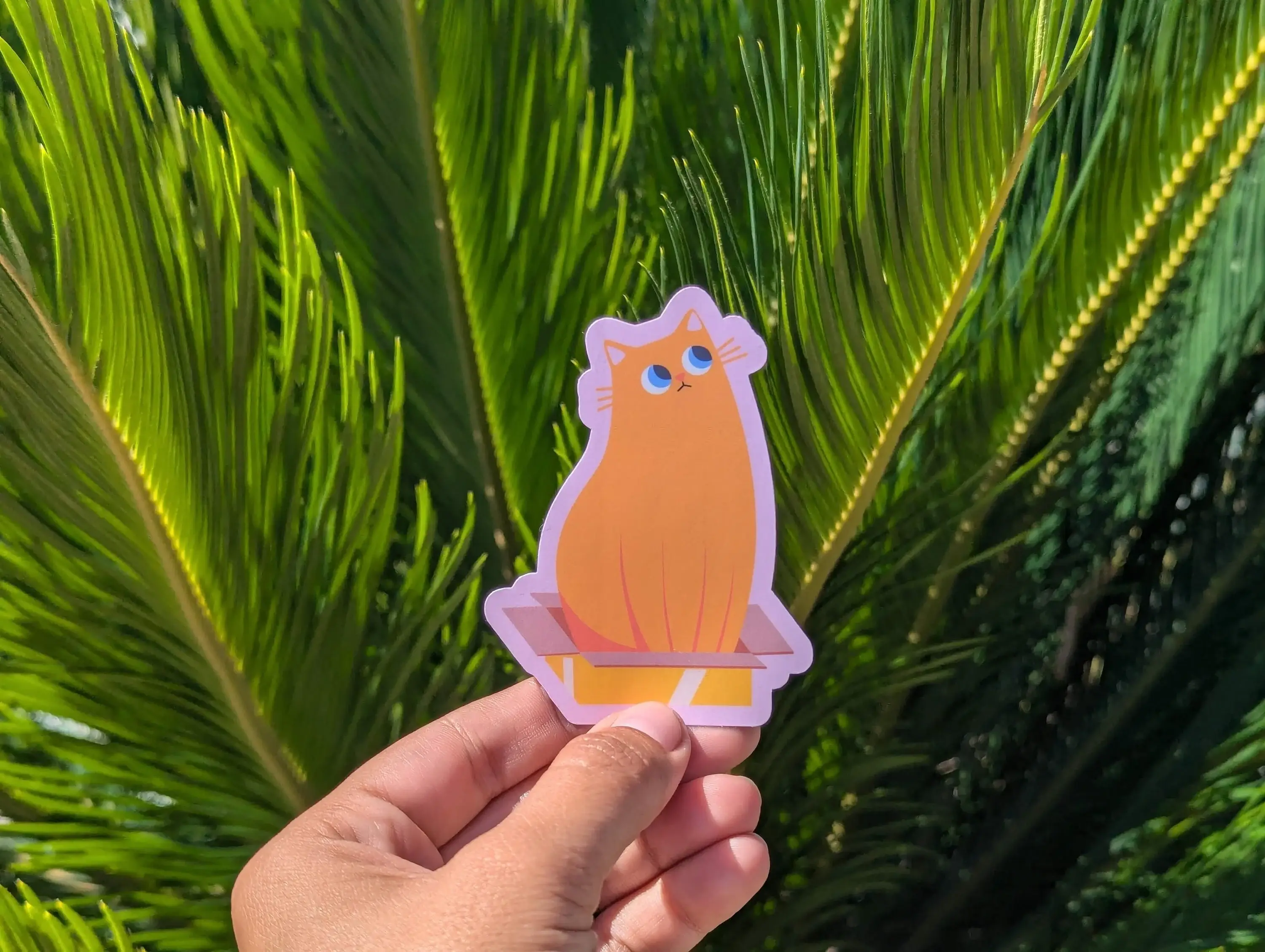 Ham Eye Am - Wholesale Sticker - Oragne Cat in Box Vinyl Sticker | Cute Cat Design 2