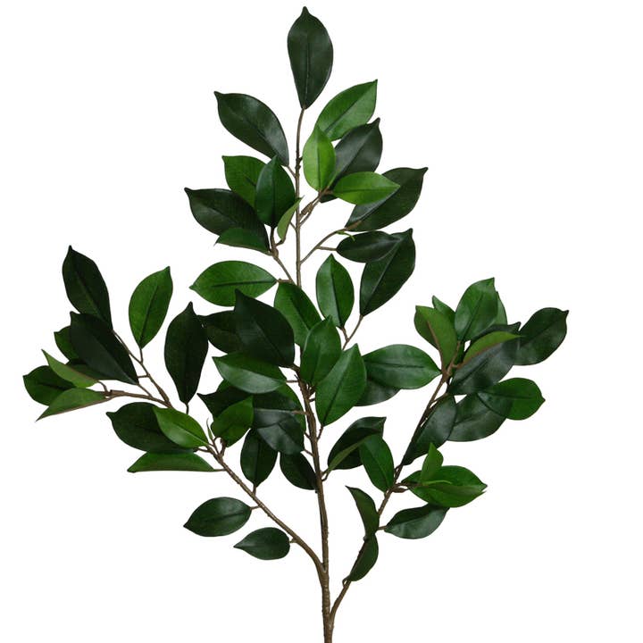 Ficus branch 64 Bl green for wholesale by Floratexx
