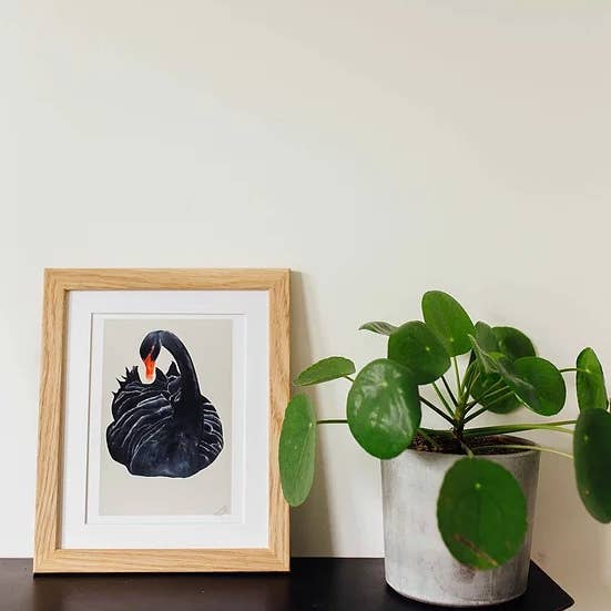 Black Swan hand-painted print for wholesale by Dollybirds Art