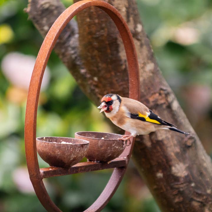 Savage Works – wholesale Bird feeder – Double Hanging Bird Feeder Ring2