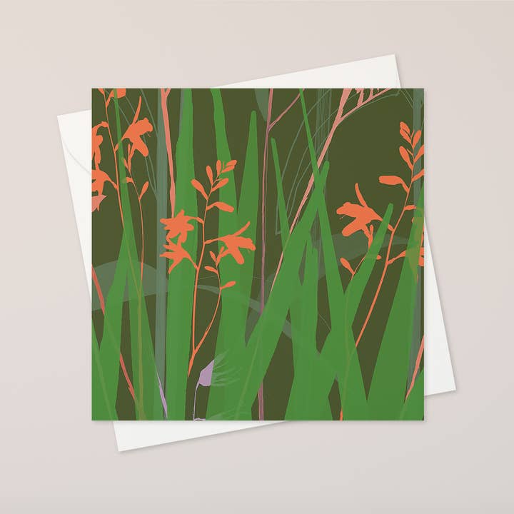 carte de vœux crocosmia pour la vente par katiebirdie