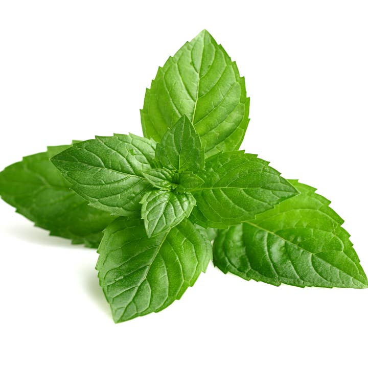 Zandra Beauty - Venta al por mayor Juego de baño y cuidado corporal - Kit de viaje Go Girl4