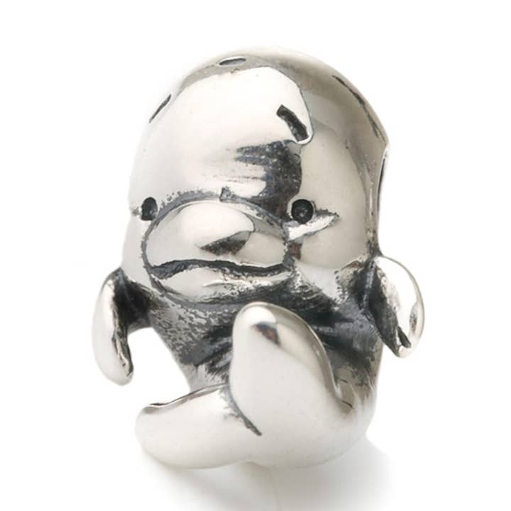 Flippy - Dolphin Charm for wholesale by Aurora Charm